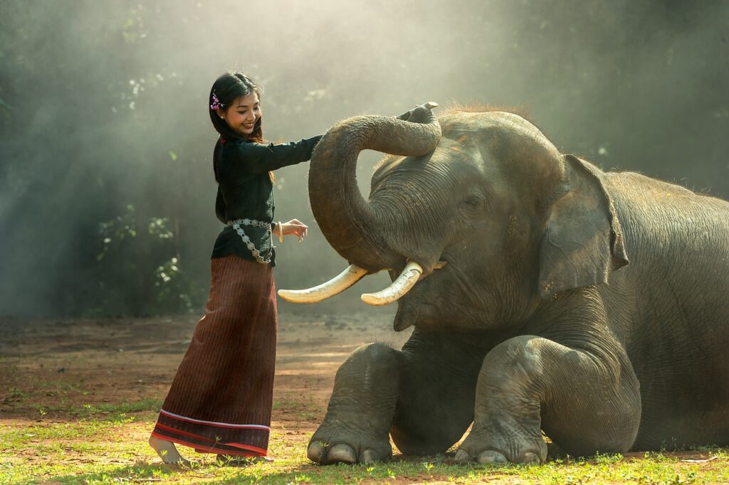girl, elephant, nature, Remarkable Progress in Wildlife Conservation