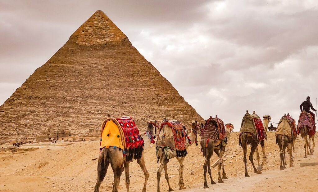 a group of camels in front of a pyramid, Incredible Wonders Of Earth